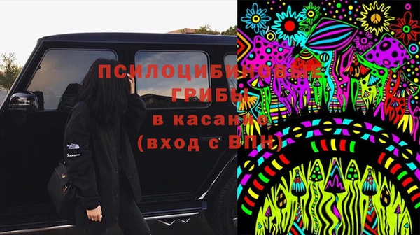 дурь Алзамай