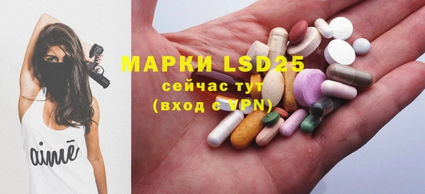 дурь Алзамай