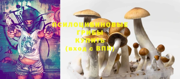 дурь Алзамай